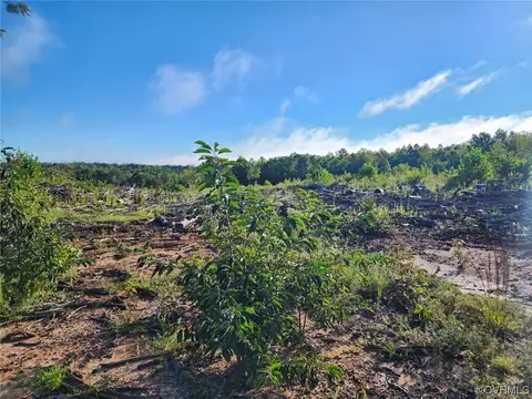 0000 Davis Lowground Rd, Keysville, VA 23947