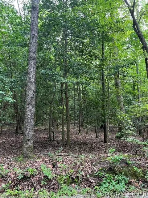 41 Ac Ridgefield Rd, Mathews, VA 23109