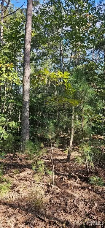 0 Level Grn, Saint Stephens Church, VA 23148