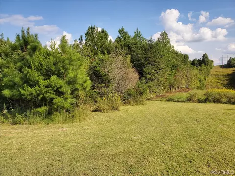 17 21 Acres Hicks Lane Rd, Rice, VA 23966