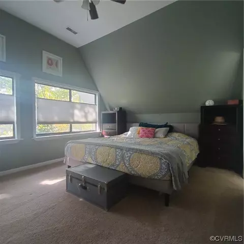 13 Monish Dr, Palmyra, VA 22963 photo 34