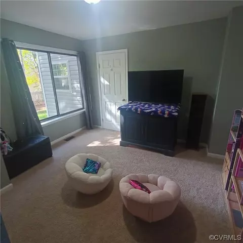 13 Monish Dr, Palmyra, VA 22963 photo 29