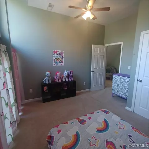 13 Monish Dr, Palmyra, VA 22963 photo 45