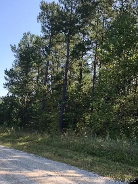 tbd Wheatland Rd, Baskerville, VA 23915 photo 3