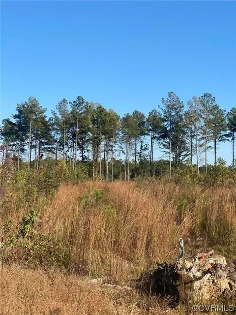 4 Cox, Wilsons, VA 23894 photo 11
