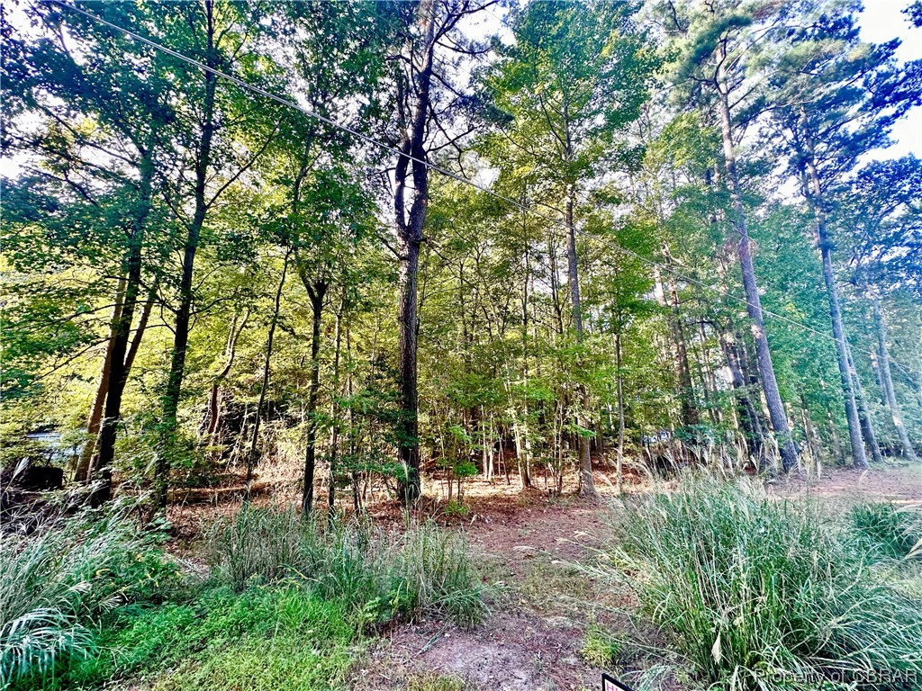 00 LARK Dr  
