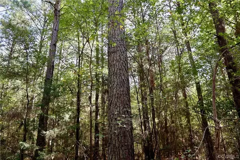 0 Wyatt Ln, Sussex, VA 23882