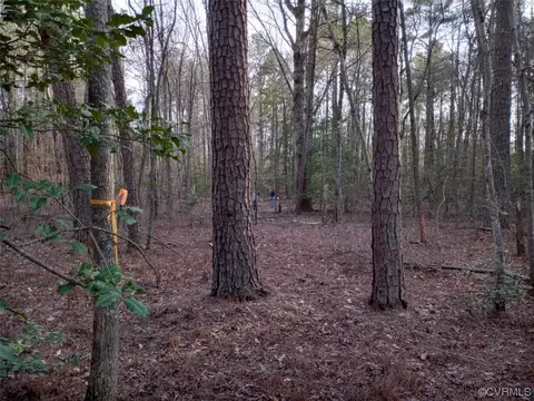 9633 E Quaker Rd, Disputanta, VA 23842