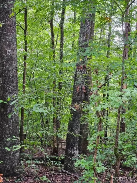 5675 Blanton St, Powhatan, VA 23139