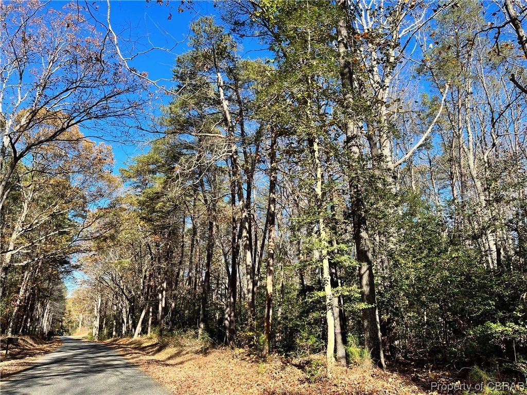 62 Nugent Ln  