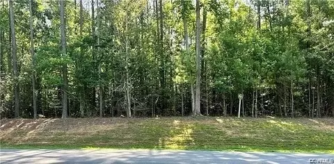 N/a Williamson Road, Dinwiddie, VA 23841