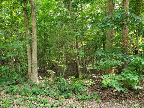 5 044 Acres High Point Rd, Crewe, VA 23930