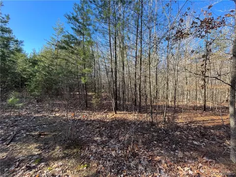 0 Crymes, Meherrin, VA 23954 photo 3