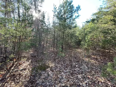 0 Crymes, Meherrin, VA 23954 photo 5