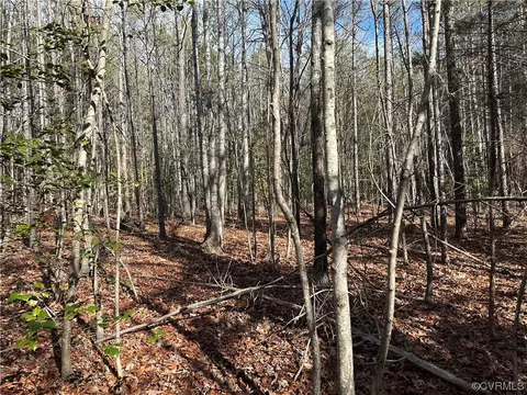0 Mill Quarter, Ford, VA 23850
