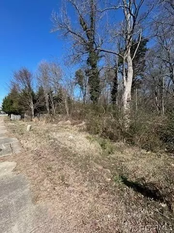 10236 Robious Rd, North Chesterfield, VA 23235 photo 3