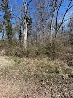 10236 Robious Rd, North Chesterfield, VA 23235 photo 2