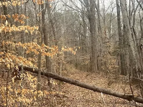 0 Chinquapin Rd, Prospect, VA 23960