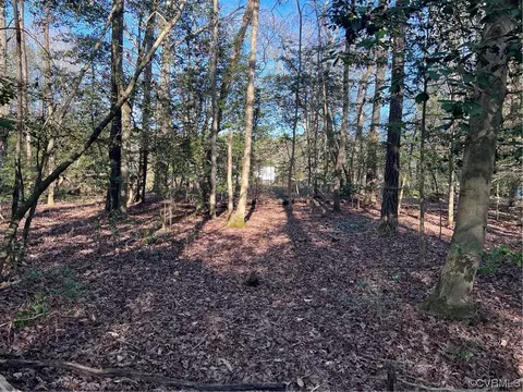 View/Area - 9357 Ashcake Rd, Ashland, VA 23005 photo 1 of 1