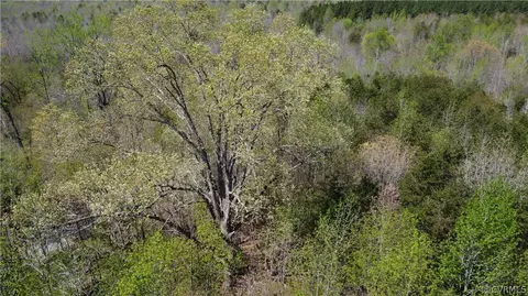 5 19 Acres Amelia Springs Rd, Jetersville, VA 23083