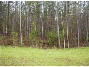 2525 Miry Run Rd, Sutherland, VA 23885 photo 1