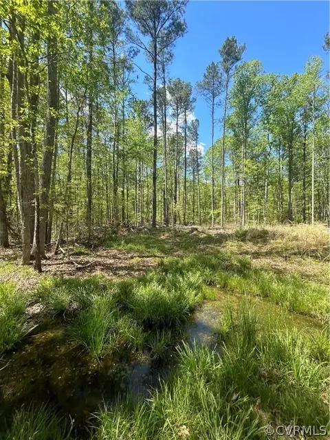 1735 Jeter Rd, Powhatan, VA 23139 photo 7