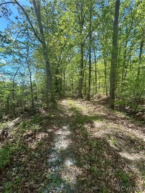 1735 Jeter Rd, Powhatan, VA 23139 photo 3