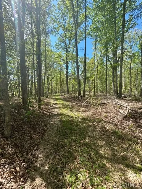 1735 Jeter Rd, Powhatan, VA 23139 photo 4