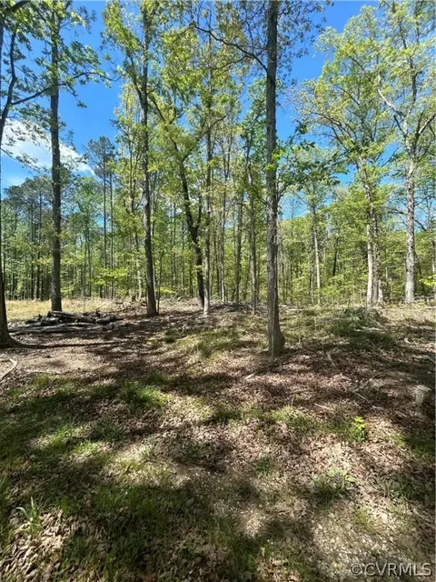 1735 Jeter Rd, Powhatan, VA 23139 photo 5