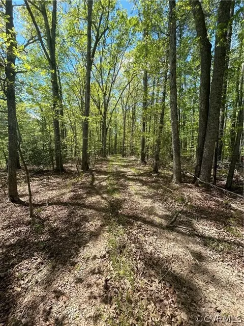1735 Jeter Rd, Powhatan, VA 23139 photo 8