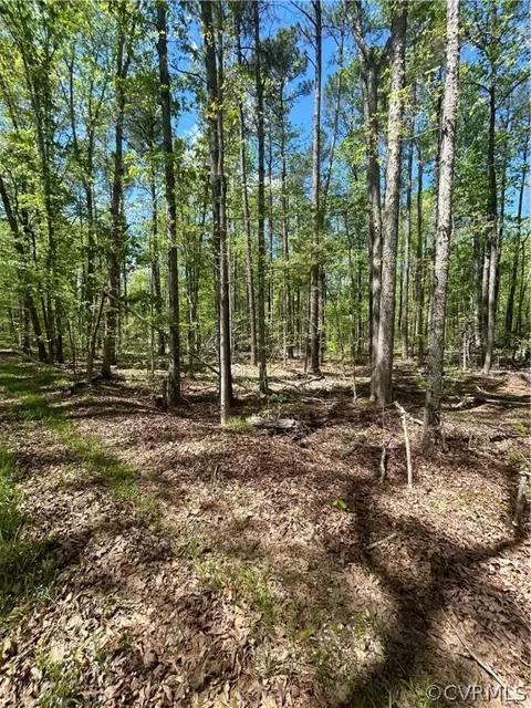 1735 Jeter Rd, Powhatan, VA 23139 photo 9