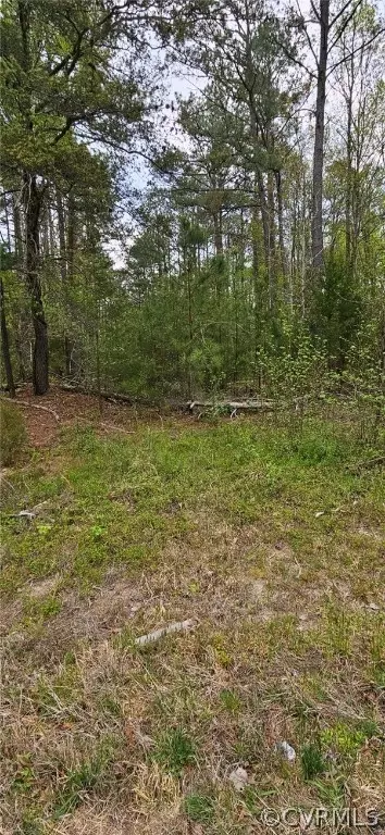 3 Tidewater Trl, Center Cross, VA 22437