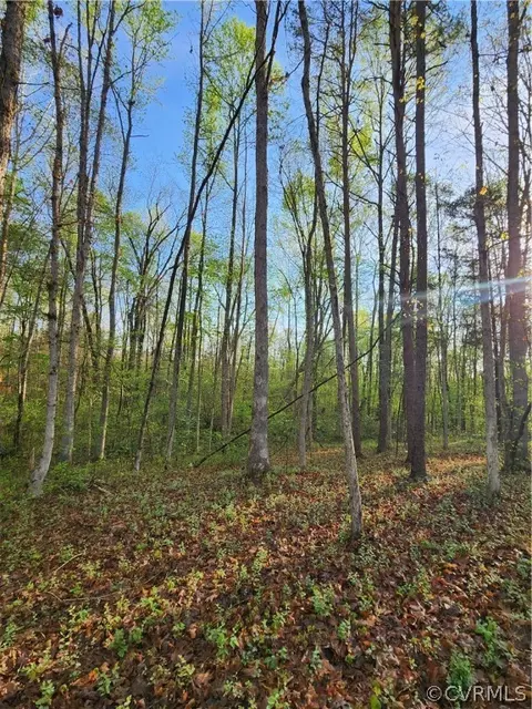 0 Carter Rd, Cumberland, VA 23040