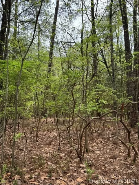 11 12 Diamond Dr, Hague, VA 22469