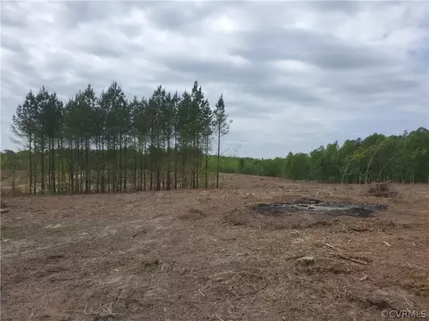 8 003 Acres Prince Edward Hwy, Rice, VA 23966
