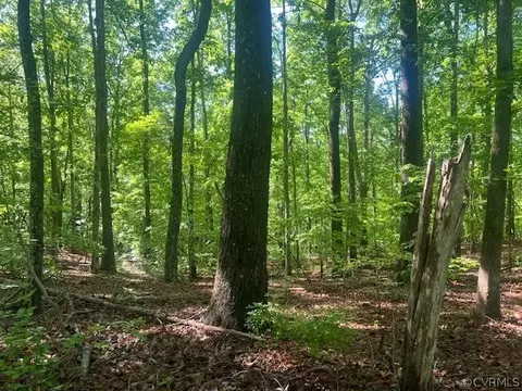 0 Davis Ln, Drakes Branch, VA 23937