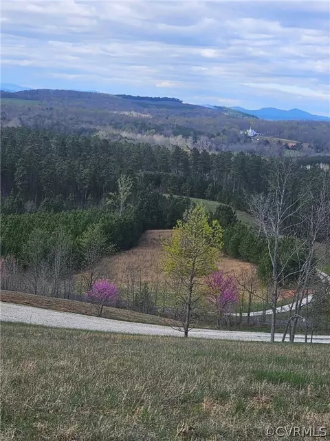 0 Grizzy Ln, Appomattox, VA 24522