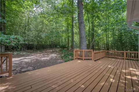2931 Vistapoint Rd, Midlothian, VA 23113 photo 45