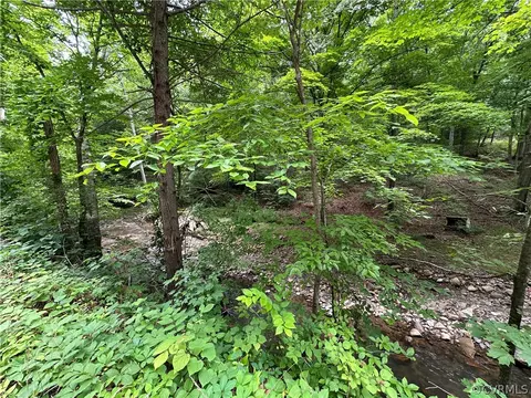 0 Roaring Run Rd, Eagle Rock, VA 24085 photo 2
