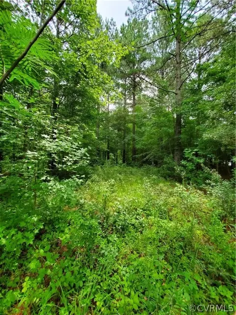 15379 Dillard Rd, Stony Creek, VA 23882