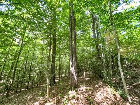 105 2 Acres Cedar Bluff Rd, Boydton, VA 23917 photo 27