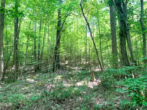 105 2 Acres Cedar Bluff Rd, Boydton, VA 23917 photo 40