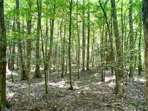 105 2 Acres Cedar Bluff Rd, Boydton, VA 23917 photo 22