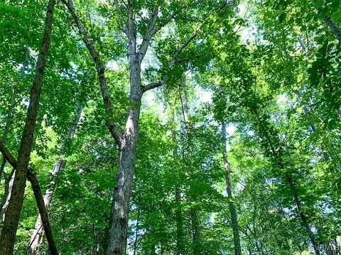 105 2 Acres Cedar Bluff Rd, Boydton, VA 23917 photo 37