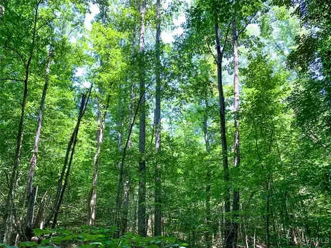105 2 Acres Cedar Bluff Rd, Boydton, VA 23917 photo 39