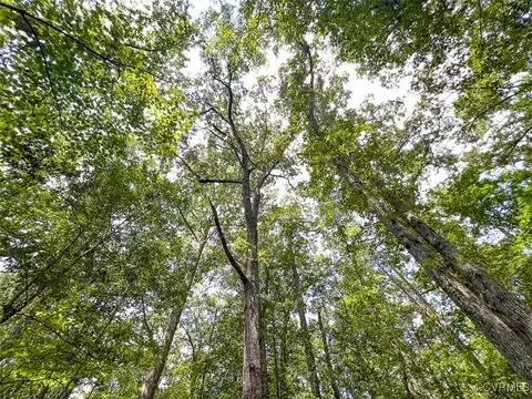 105 2 Acres Cedar Bluff Rd, Boydton, VA 23917 photo 25