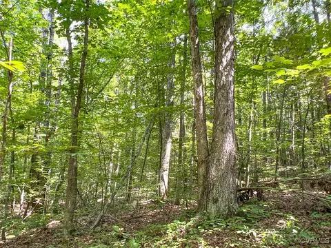105 2 Acres Cedar Bluff Rd, Boydton, VA 23917 photo 18