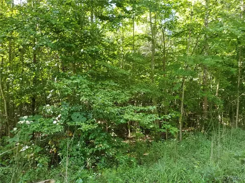 7 55 Acres Amelia Springs Rd, Jetersville, VA 23083