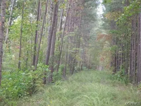 lot5 Nottoway River Farms, Mckenney, VA 23872