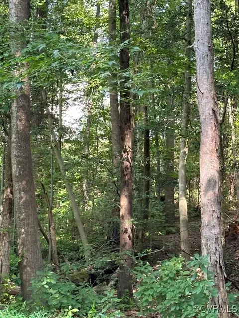 11621 Oak Rd, Chesterfield, VA 23831
